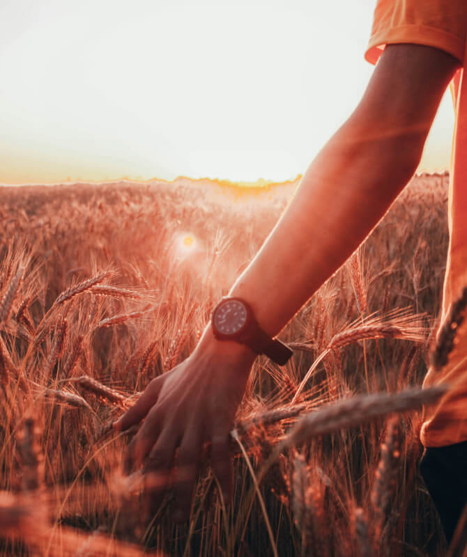 واقعیت مجازی